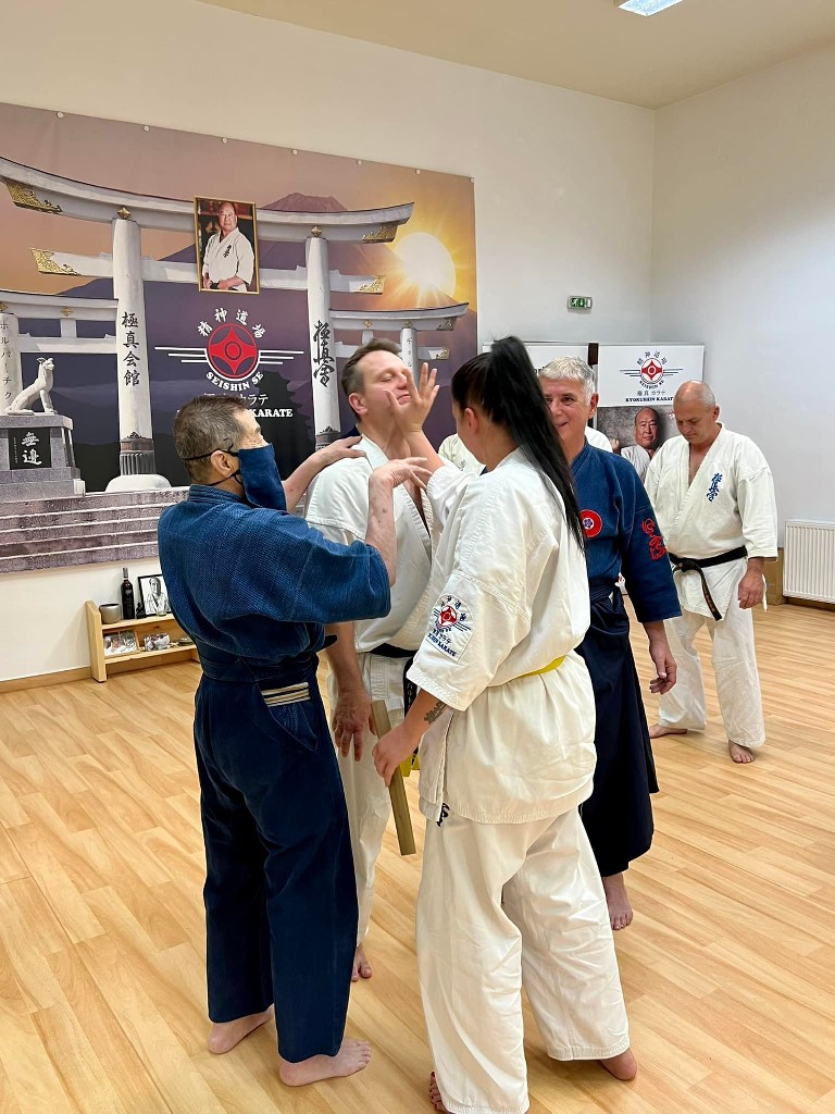 Soshi Tanaka Koshiro látogatása a Seishin Dojoban