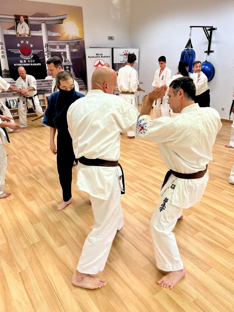 Soshi Tanaka Koshiro látogatása a Seishin Dojoban
