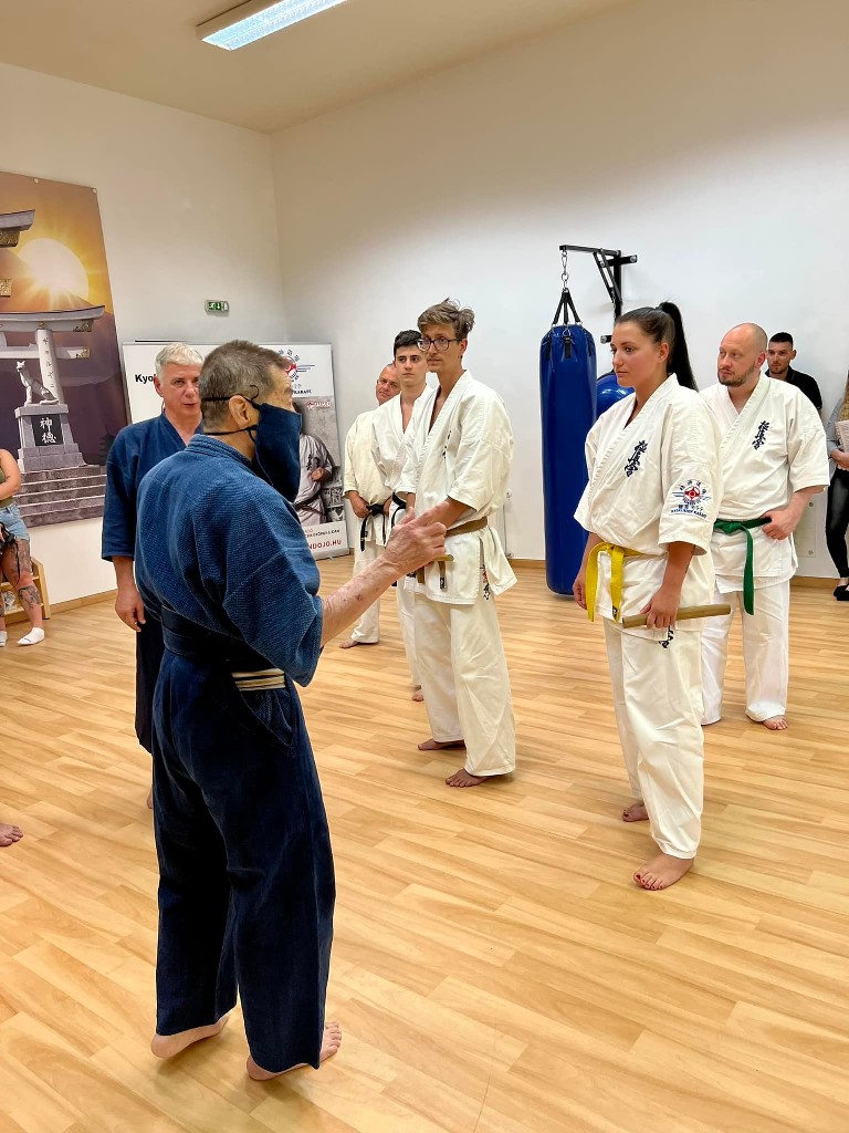 Soshi Tanaka Koshiro látogatása a Seishin Dojoban