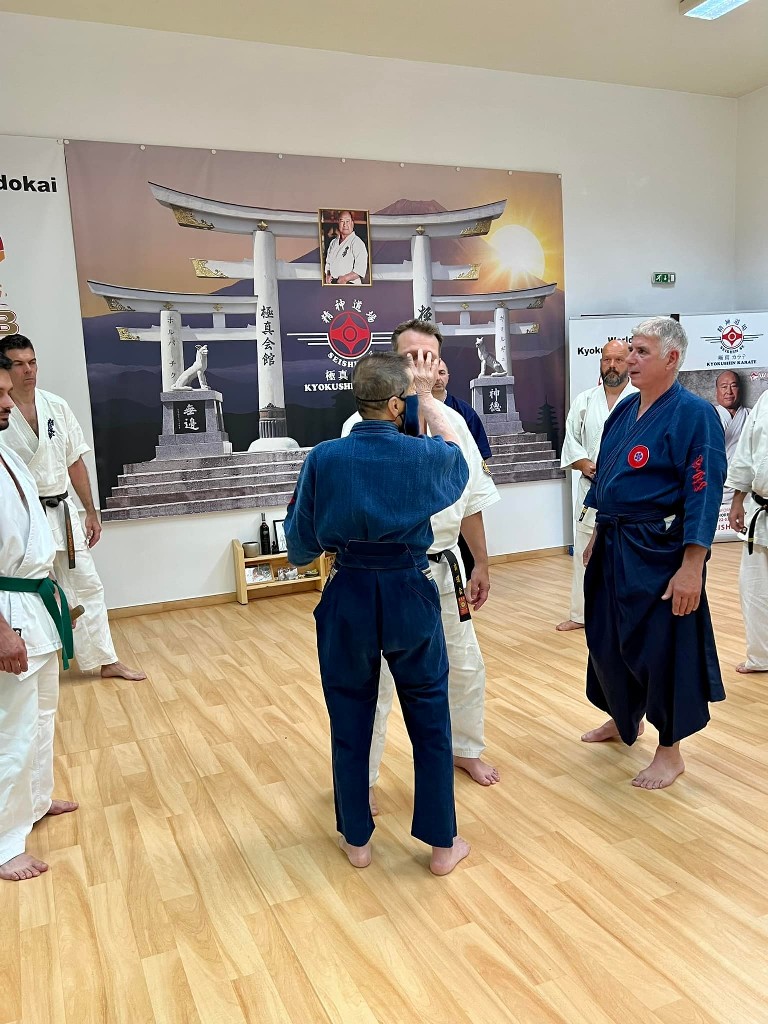 Soshi Tanaka Koshiro látogatása a Seishin Dojoban
