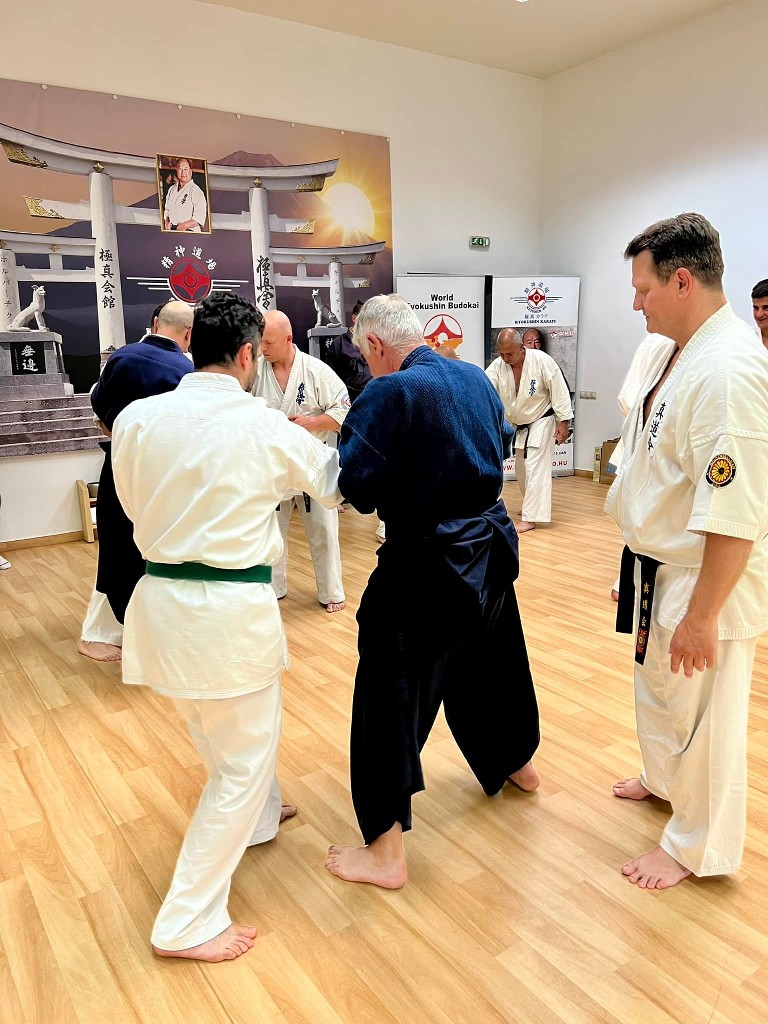 Soshi Tanaka Koshiro látogatása a Seishin Dojoban