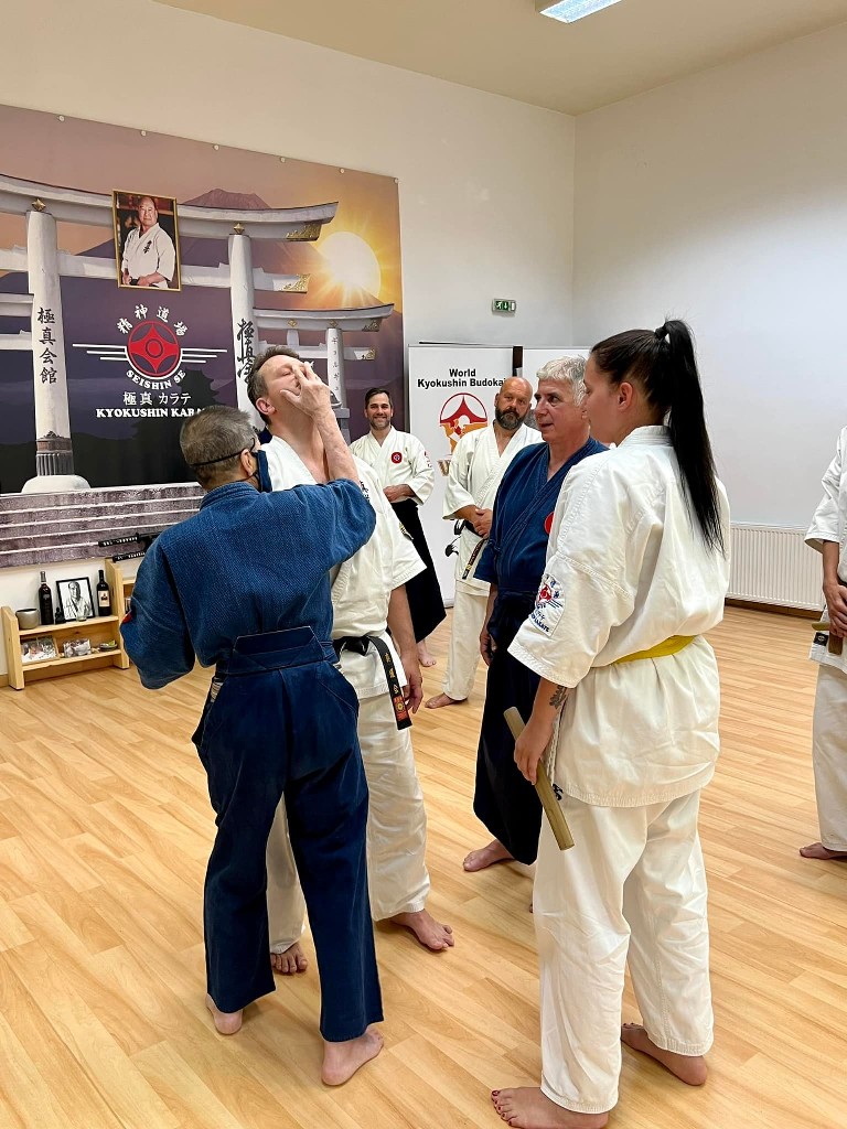 Soshi Tanaka Koshiro látogatása a Seishin Dojoban