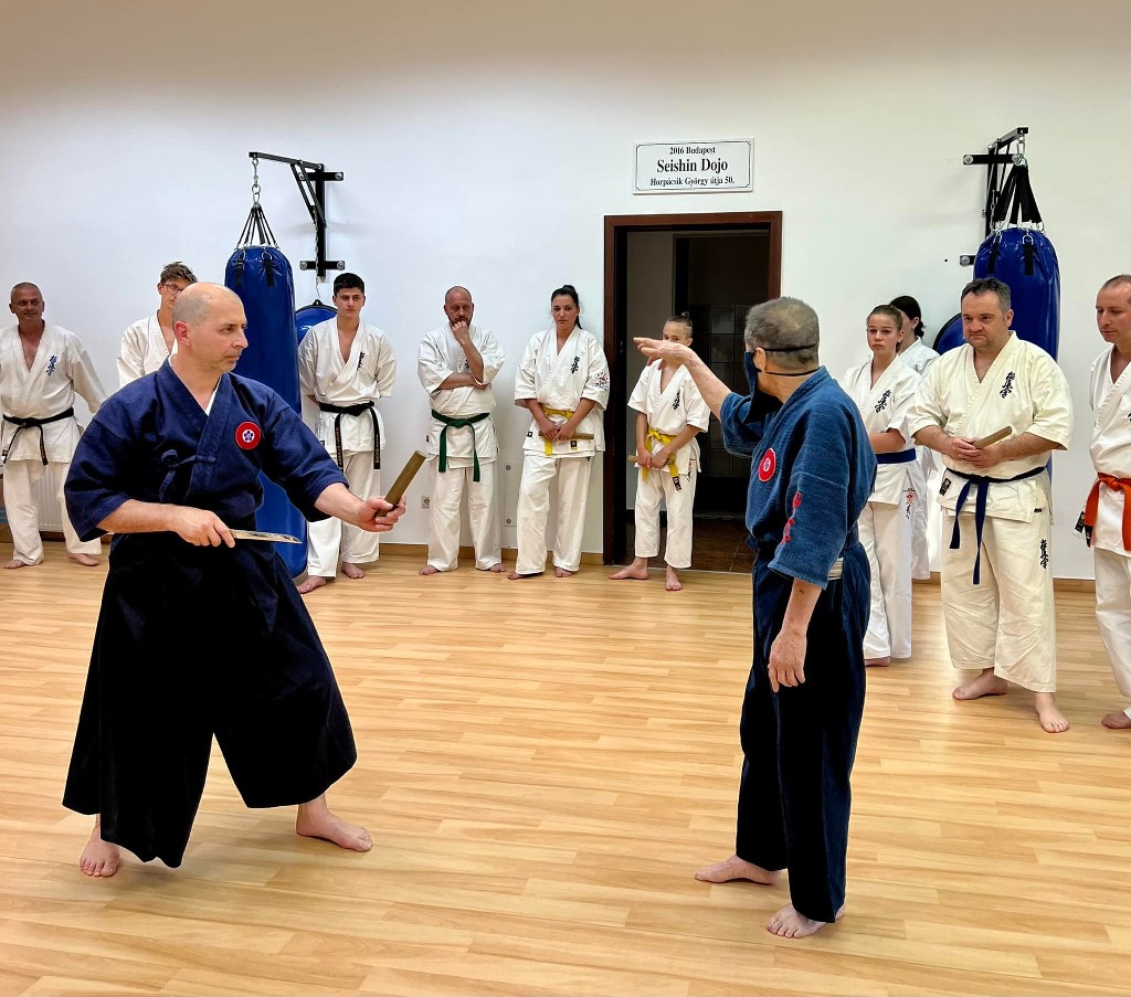 Soshi Tanaka Koshiro látogatása a Seishin Dojoban