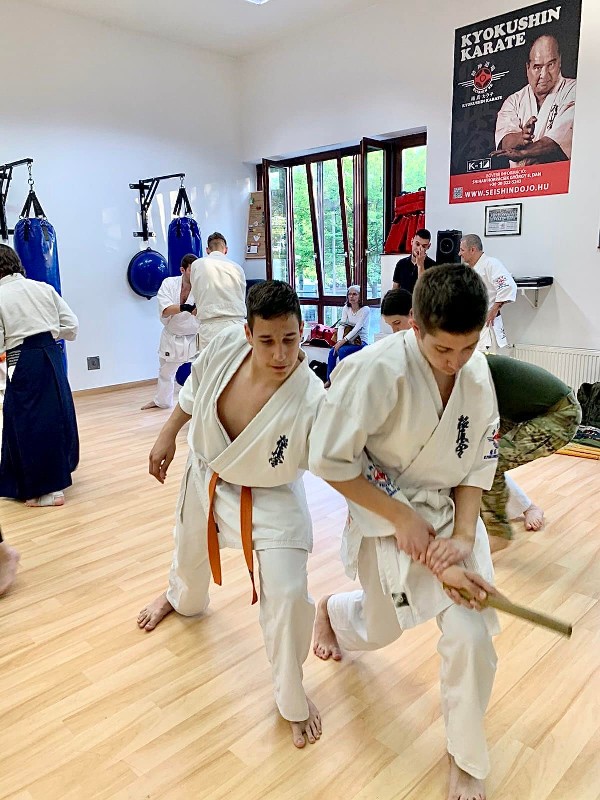 Soshi Tanaka Koshiro látogatása a Seishin Dojoban