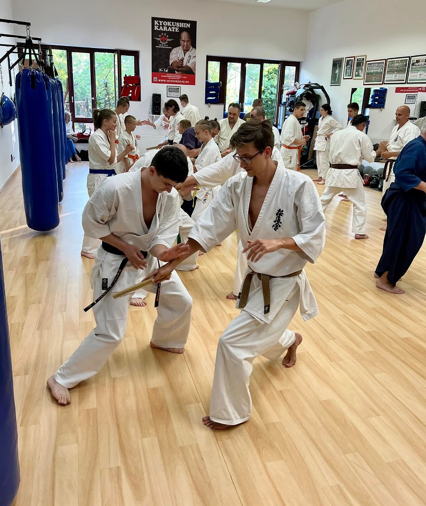 Soshi Tanaka Koshiro látogatása a Seishin Dojoban