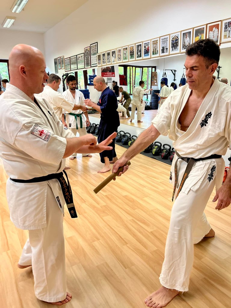 Soshi Tanaka Koshiro látogatása a Seishin Dojoban