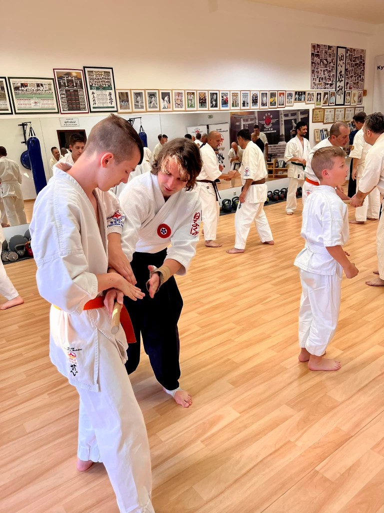 Soshi Tanaka Koshiro látogatása a Seishin Dojoban