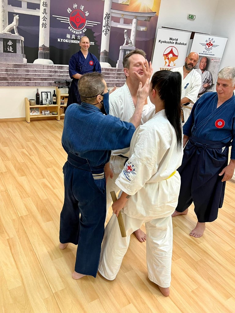 Soshi Tanaka Koshiro látogatása a Seishin Dojoban
