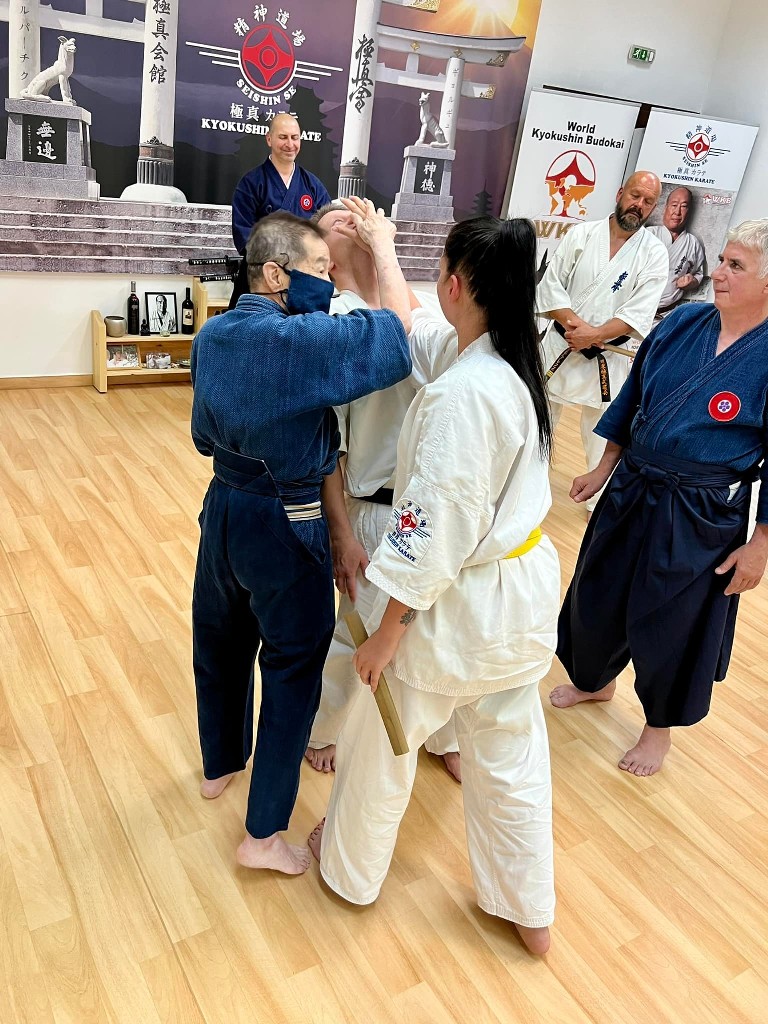 Soshi Tanaka Koshiro látogatása a Seishin Dojoban