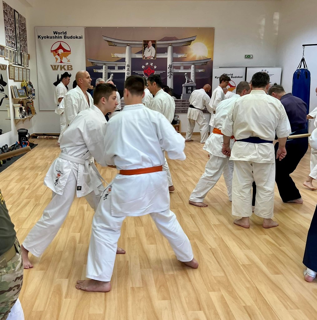Soshi Tanaka Koshiro látogatása a Seishin Dojoban