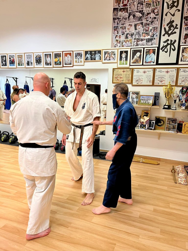 Soshi Tanaka Koshiro látogatása a Seishin Dojoban