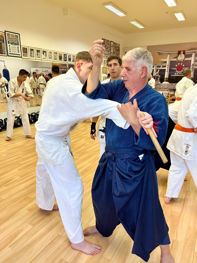 Soshi Tanaka Koshiro látogatása a Seishin Dojoban