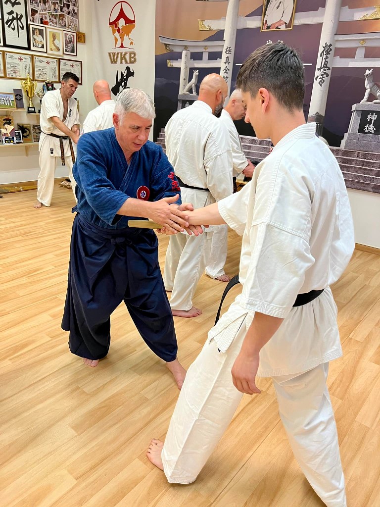 Soshi Tanaka Koshiro látogatása a Seishin Dojoban