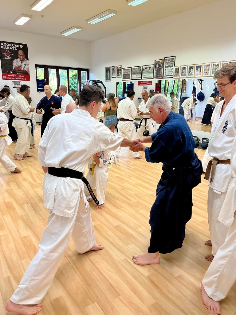 Soshi Tanaka Koshiro látogatása a Seishin Dojoban