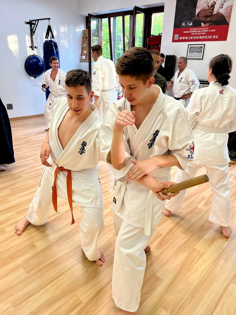 Soshi Tanaka Koshiro látogatása a Seishin Dojoban