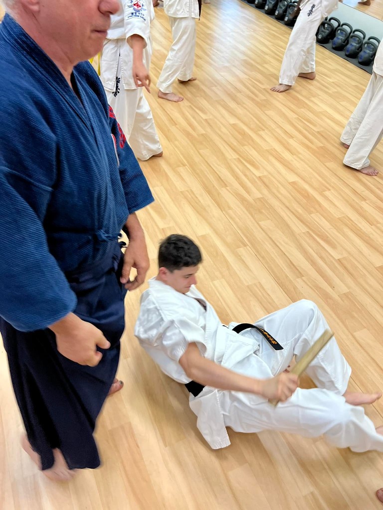 Soshi Tanaka Koshiro látogatása a Seishin Dojoban