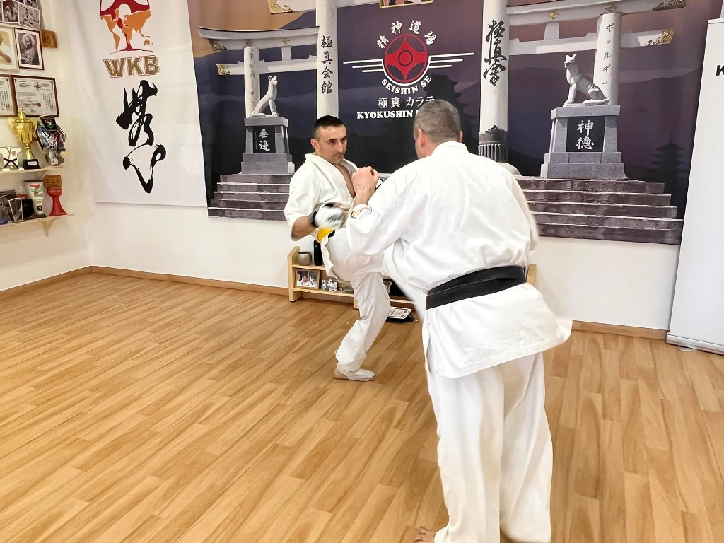 WKB Seishin Branch Tréning 2022/I