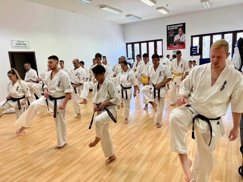 WKB Seishin Branch Tréning 2022/I
