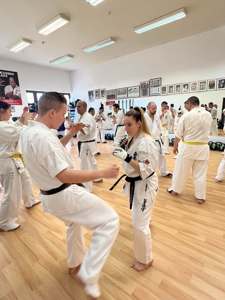 WKB Seishin Branch Tréning 2022/I