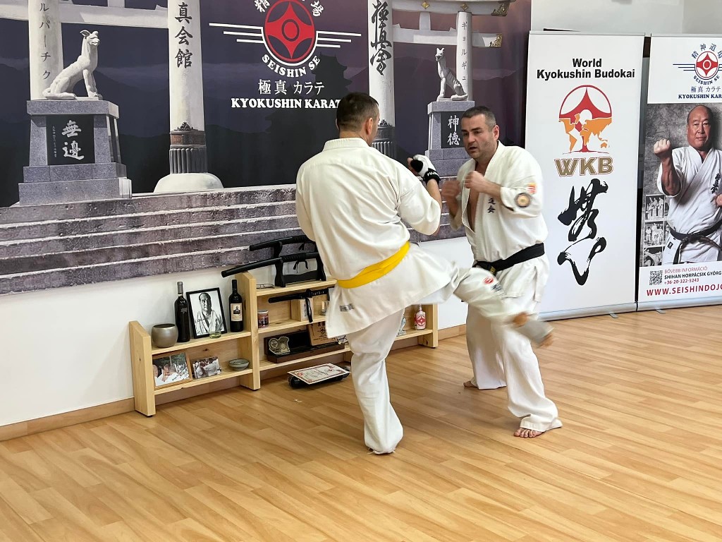 WKB Seishin Branch Tréning 2022/I