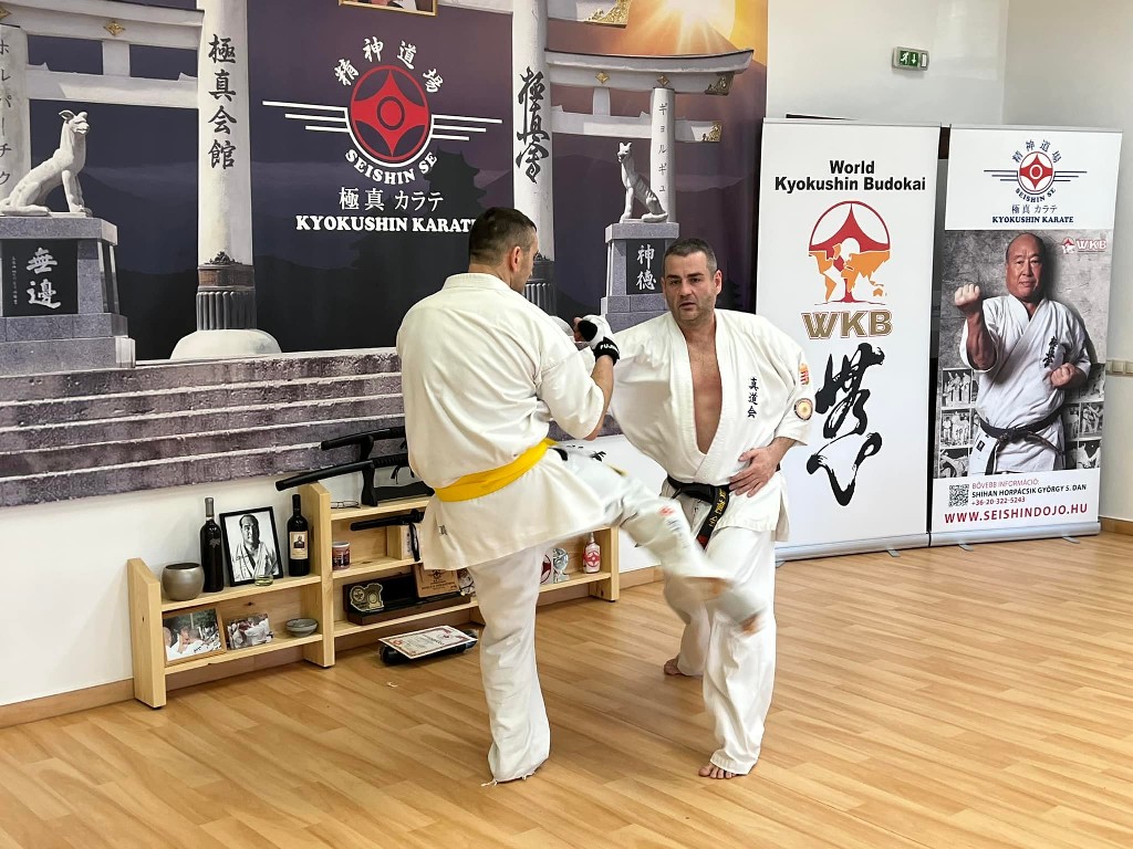 WKB Seishin Branch Tréning 2022/I