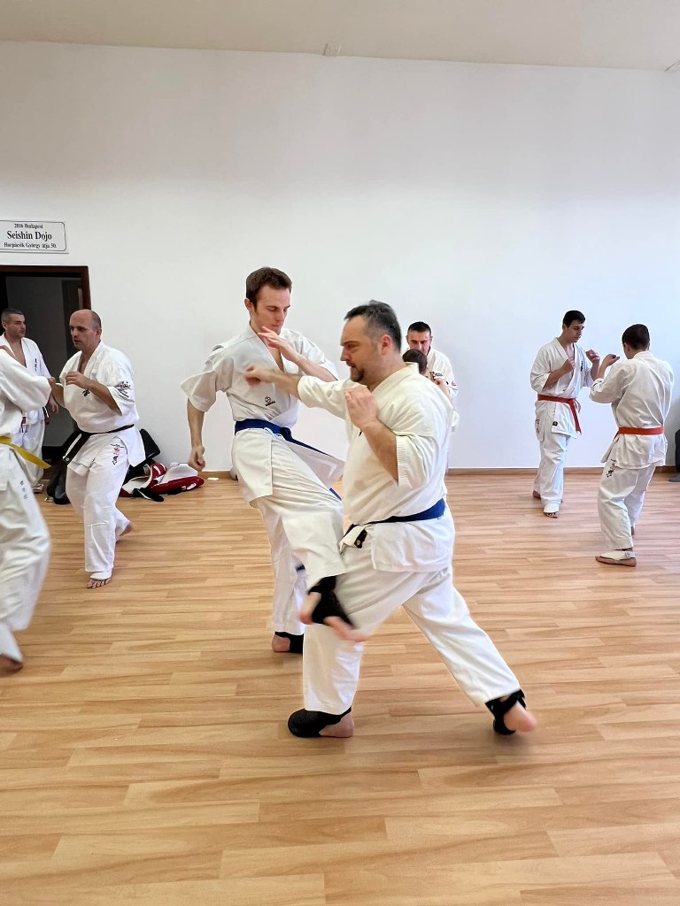 WKB Seishin Branch Tréning 2022/I