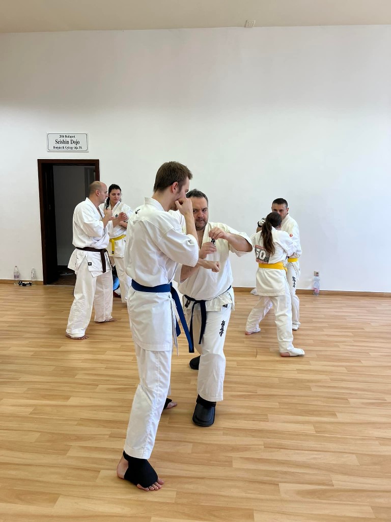 WKB Seishin Branch Tréning 2022/I