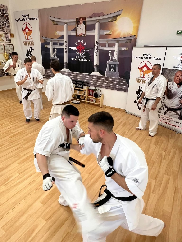 WKB Seishin Branch Tréning 2022/I