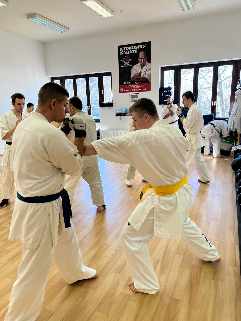 WKB Seishin Branch Tréning 2022/I
