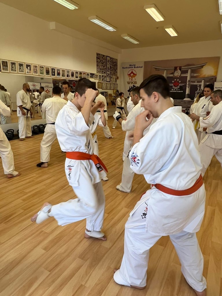 WKB Seishin Branch Tréning 2022/I