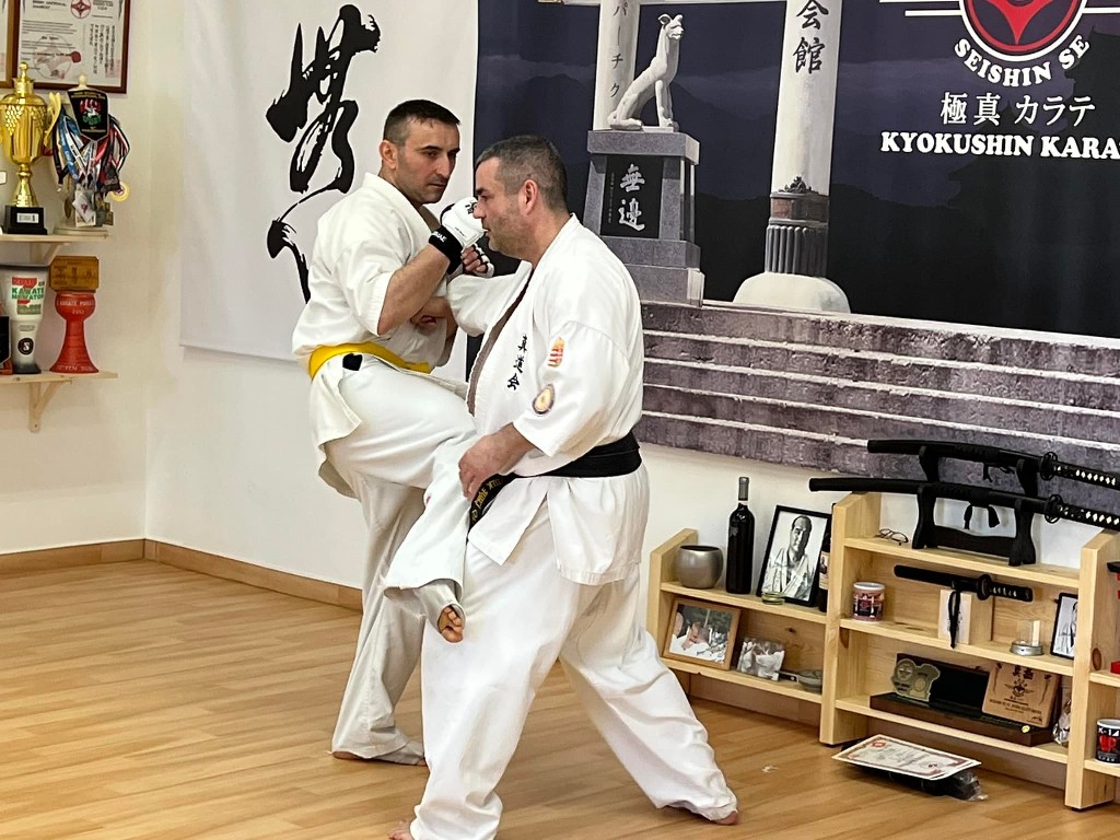 WKB Seishin Branch Tréning 2022/I