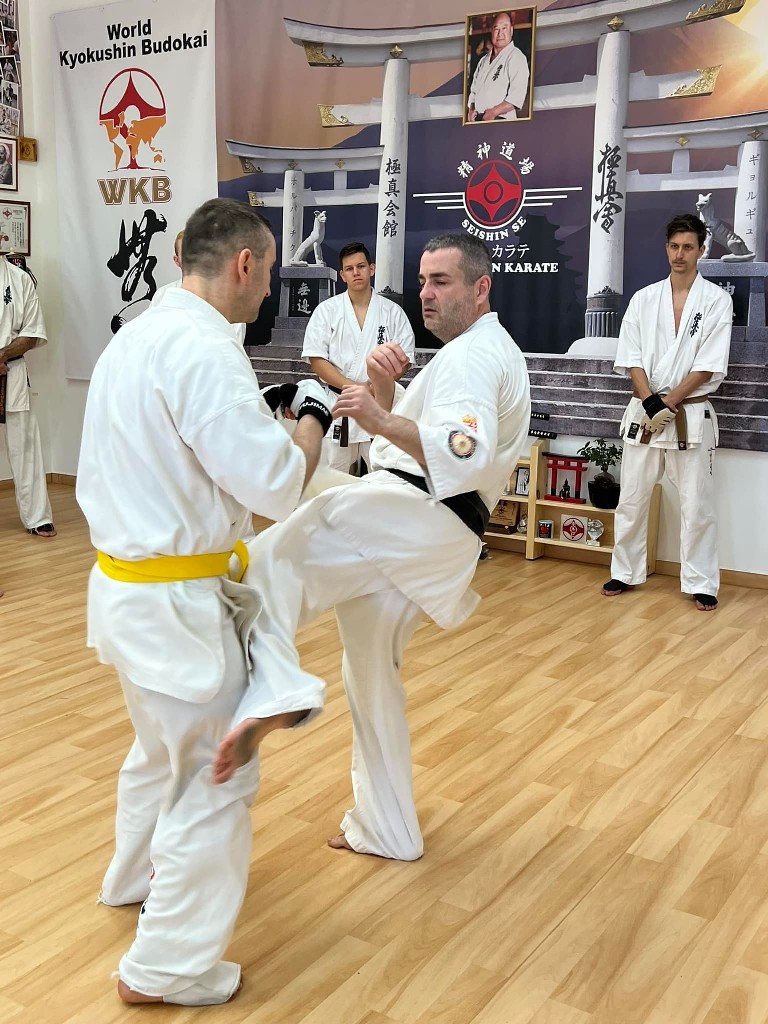 WKB Seishin Branch Tréning 2022/I