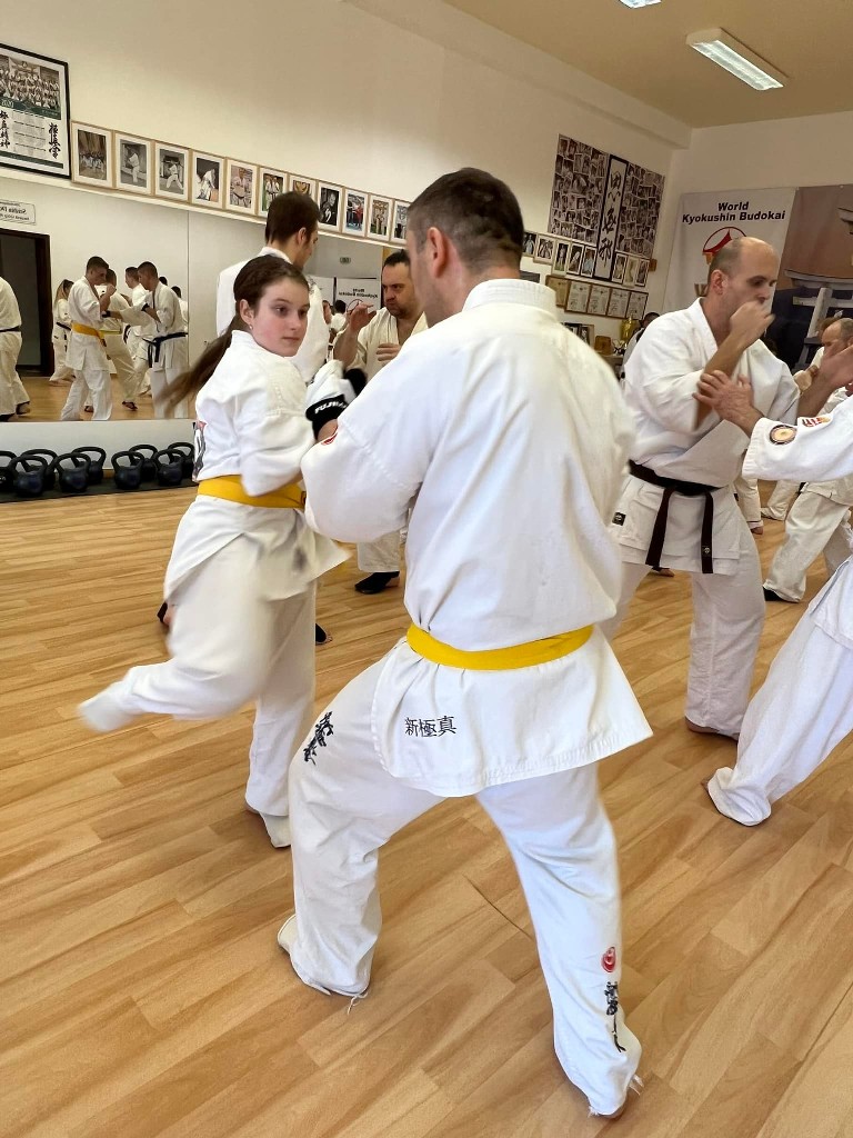 WKB Seishin Branch Tréning 2022/I