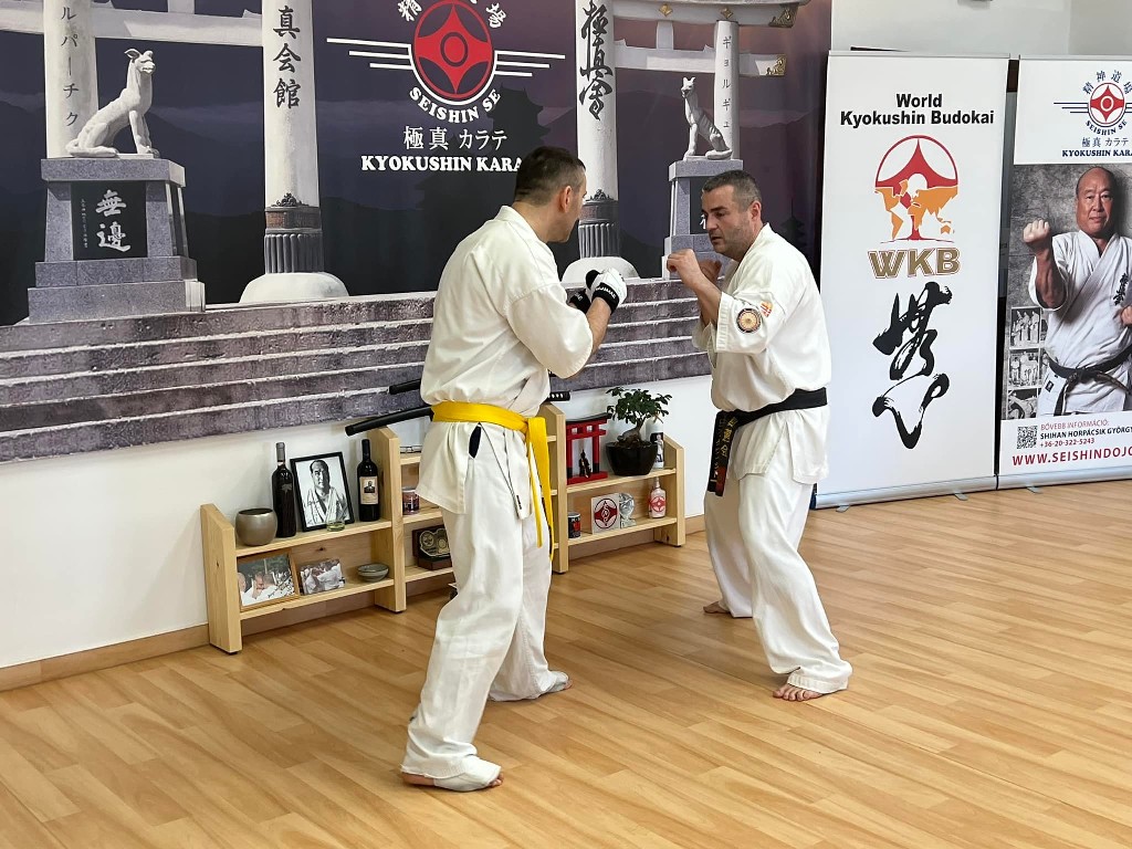 WKB Seishin Branch Tréning 2022/I