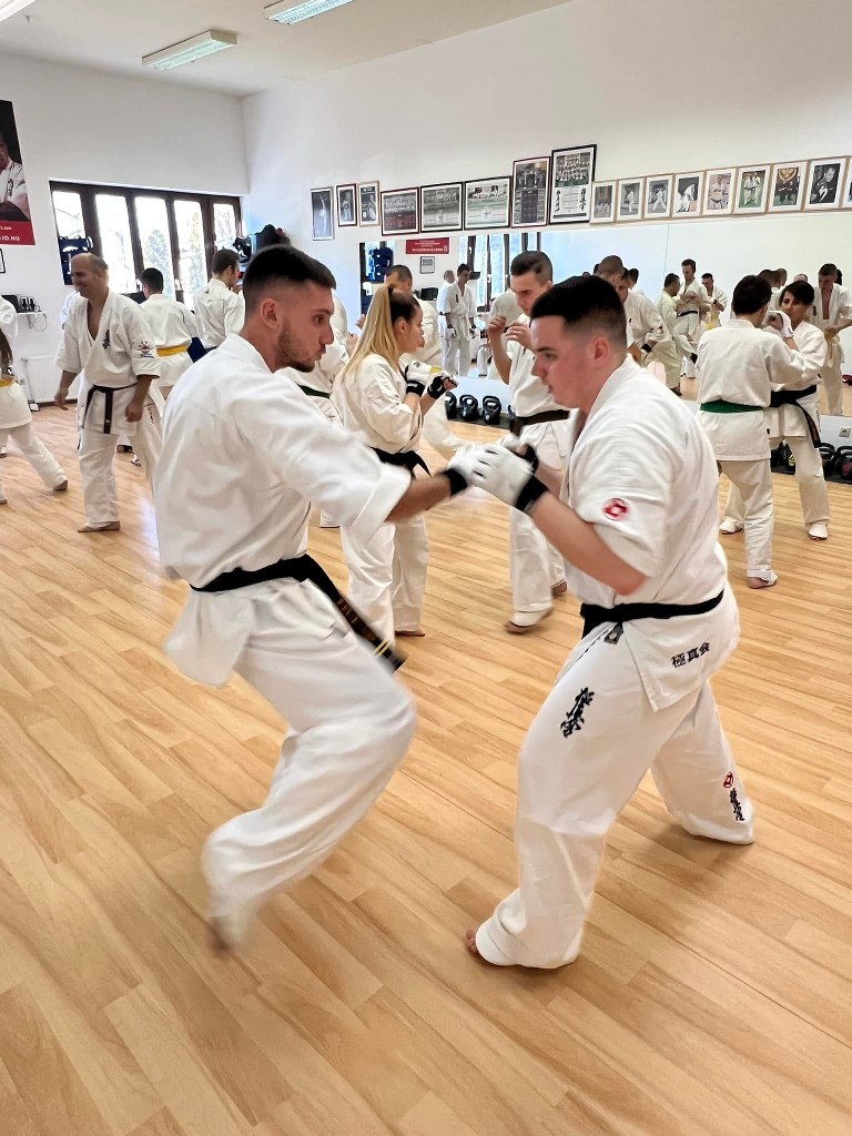 WKB Seishin Branch Tréning 2022/I