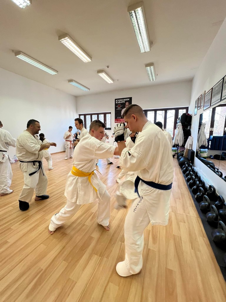 WKB Seishin Branch Tréning 2022/I