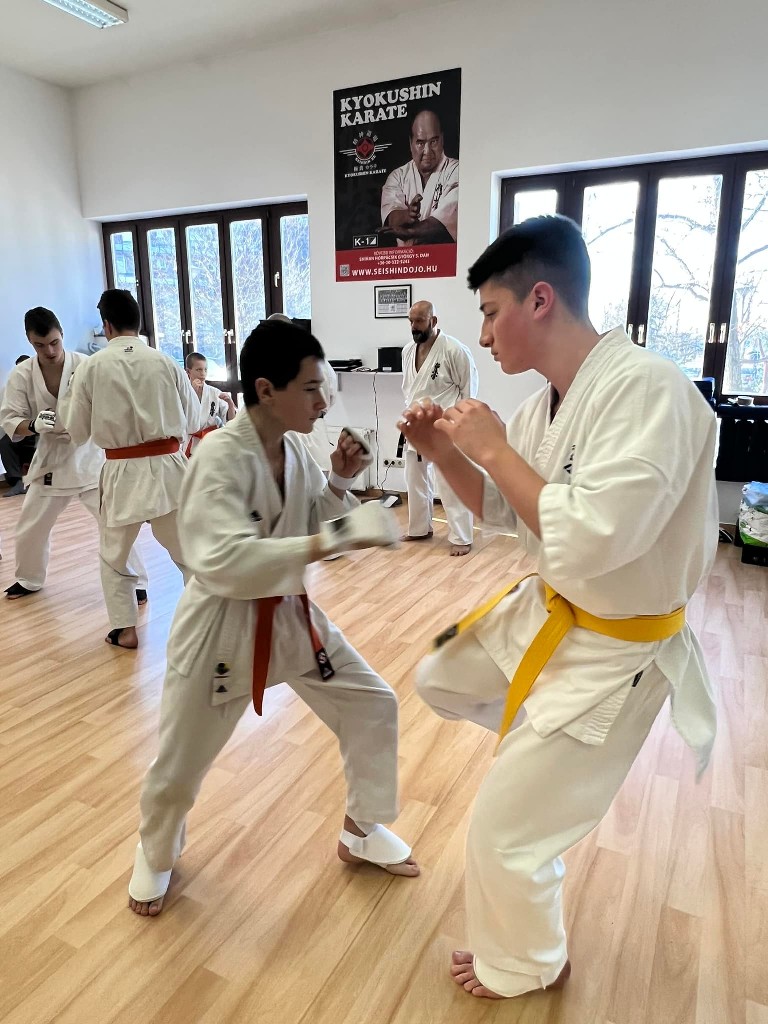 WKB Seishin Branch Tréning 2022/I