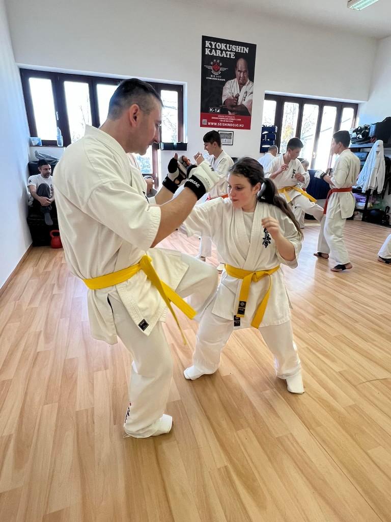 WKB Seishin Branch Tréning 2022/I