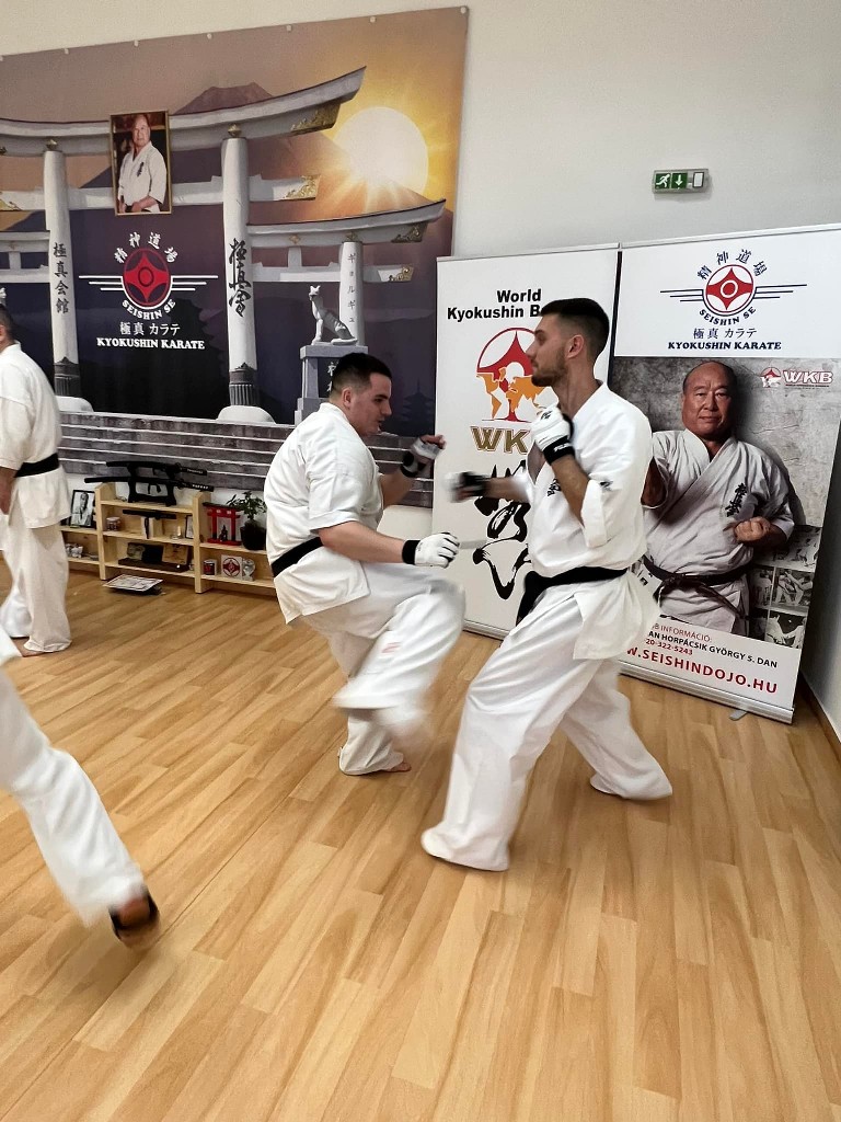 WKB Seishin Branch Tréning 2022/I