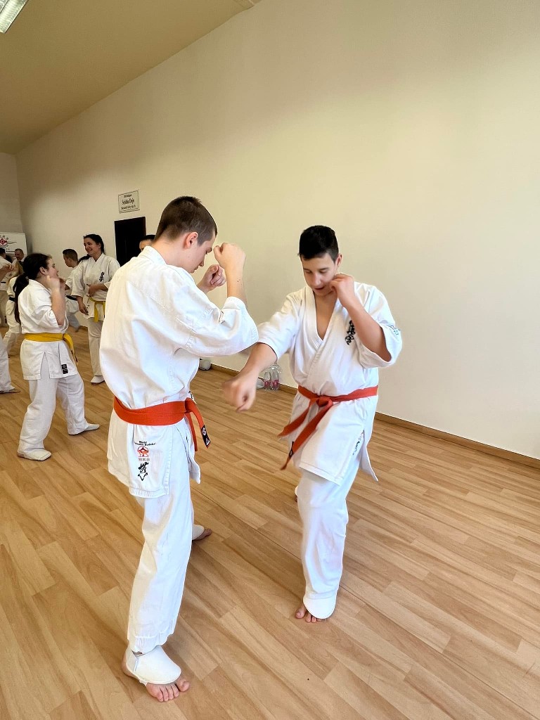WKB Seishin Branch Tréning 2022/I