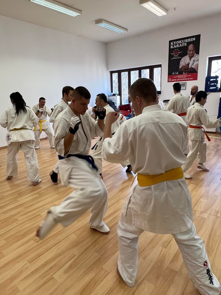 WKB Seishin Branch Tréning 2022/I