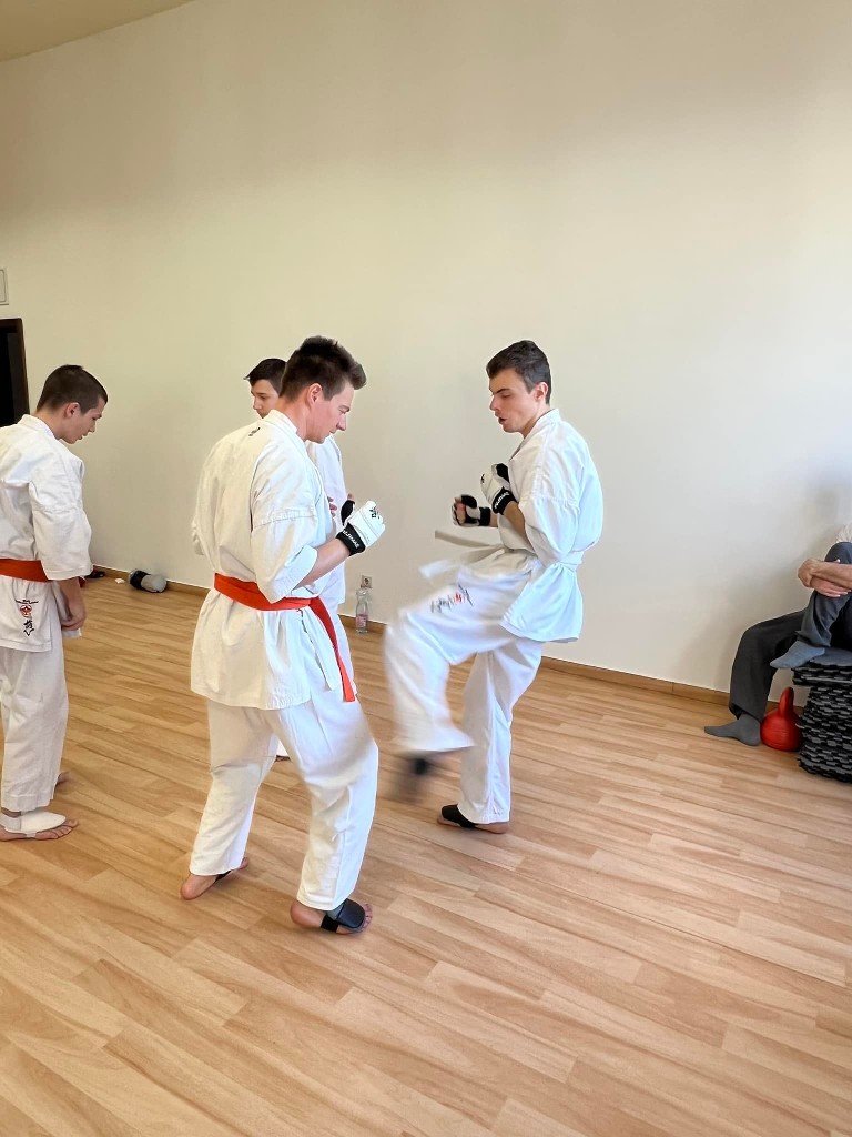 WKB Seishin Branch Tréning 2022/I