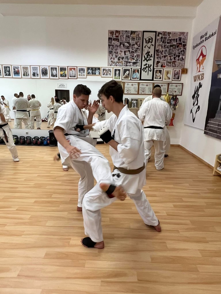 WKB Seishin Branch Tréning 2022/I