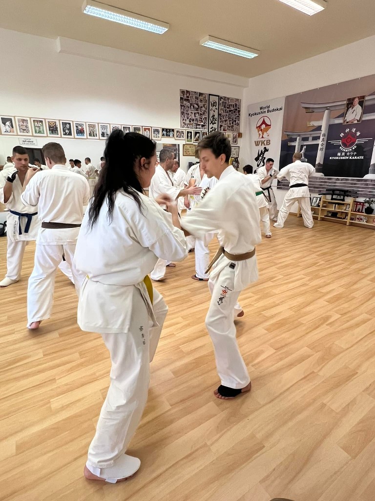 WKB Seishin Branch Tréning 2022/I