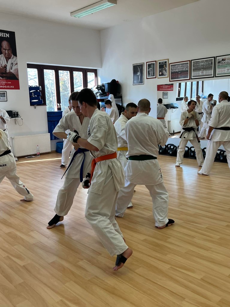WKB Seishin Branch Tréning 2022/I