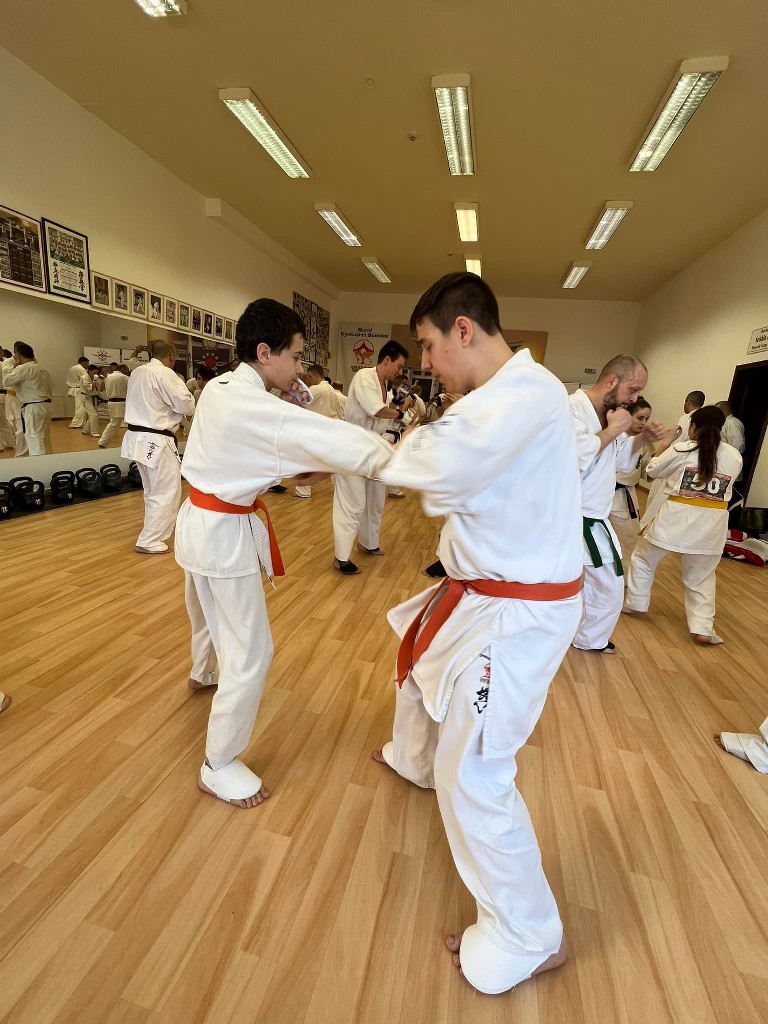 WKB Seishin Branch Tréning 2022/I