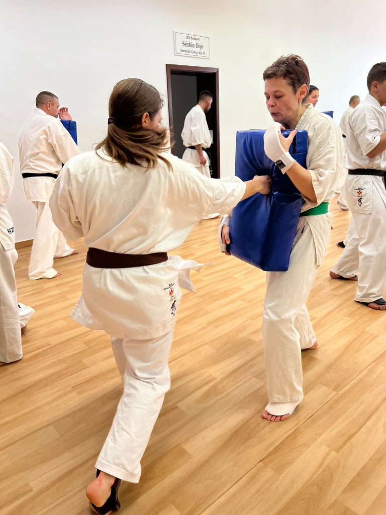 WKB Seishin Branch Tréning 2022/I