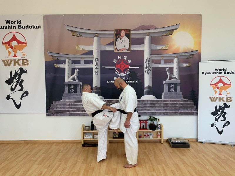 WKB Seishin Branch Tréning 2022/I