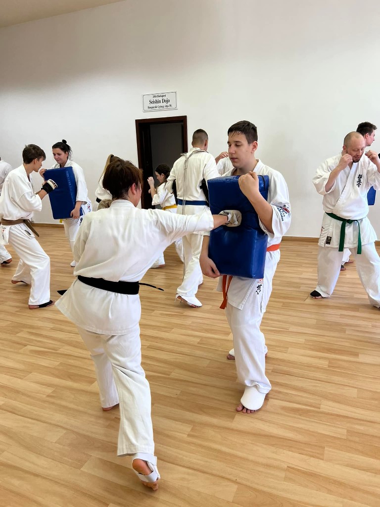 WKB Seishin Branch Tréning 2022/I