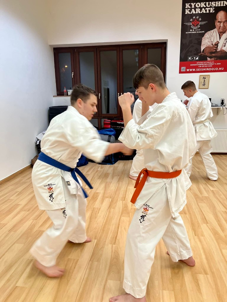 WKB Seishin Karate… a hetünk